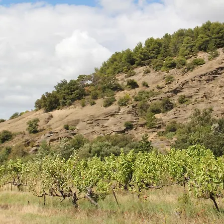 Eco Dans Les Vignes *